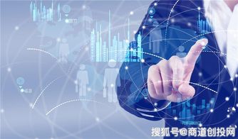 棱镜光娱获5000万融资，资本注入能否加速数字文化创意内容应用服务落地？